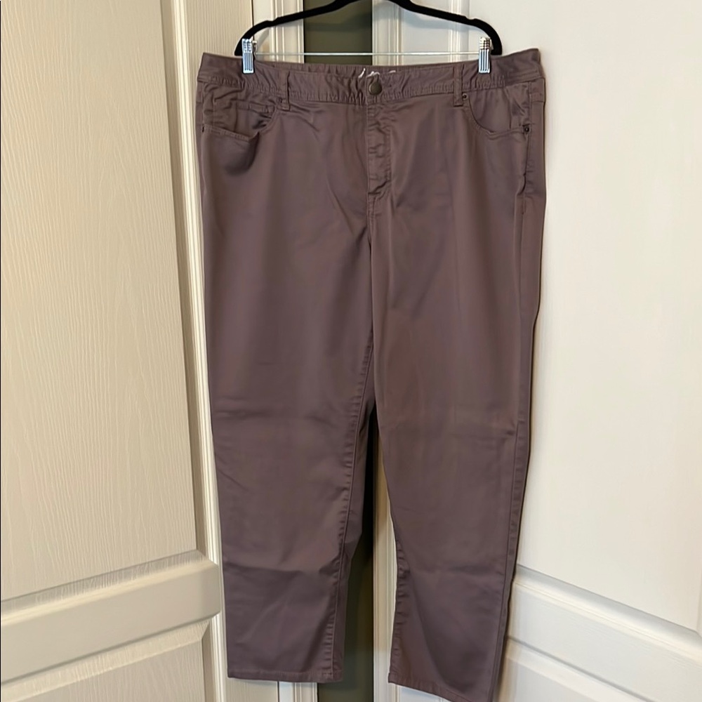 Inc Denim Mauve Straight Leg Jeans Size 24W